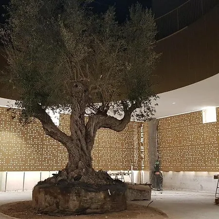 Olivia - Vista Al Mar - Intempo Apartament Benidorm